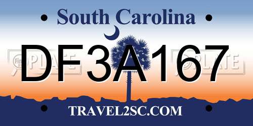 DF3A167 South Carolina License Plate
