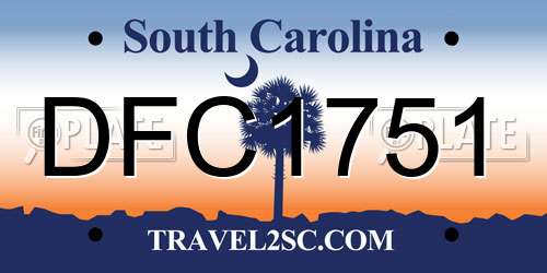 DFC1751 South Carolina License Plate
