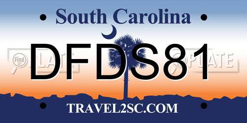 DFDS81 South Carolina License Plate