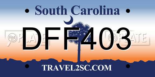 DFF403 South Carolina License Plate