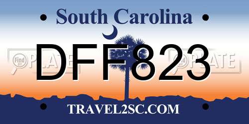 DFF823 South Carolina License Plate