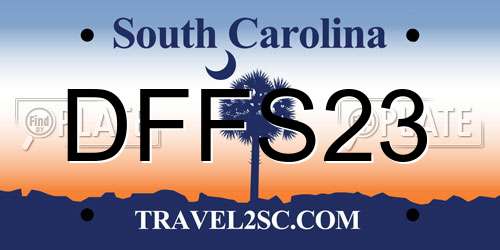 DFFS23 South Carolina License Plate