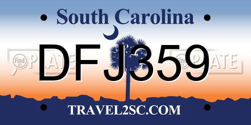 DFJ359 South Carolina License Plate