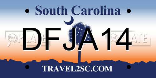 DFJA14 South Carolina License Plate