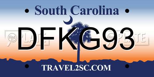 DFKG93 South Carolina License Plate