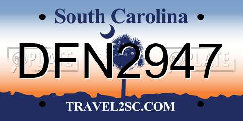 DFN2947 South Carolina License Plate