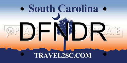 DFNDR South Carolina License Plate