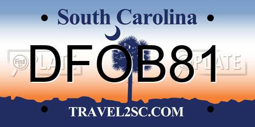 DFOB81 South Carolina License Plate