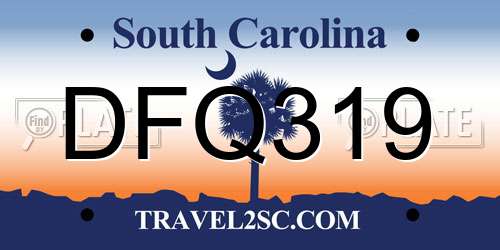 DFQ319 South Carolina License Plate