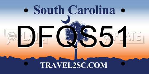DFQS51 South Carolina License Plate