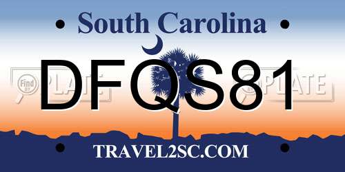 DFQS81 South Carolina License Plate