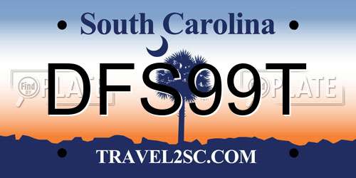 DFS99T South Carolina License Plate