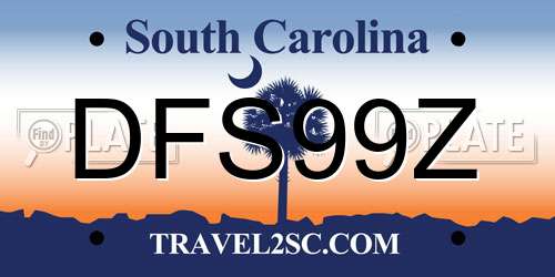 DFS99Z South Carolina License Plate
