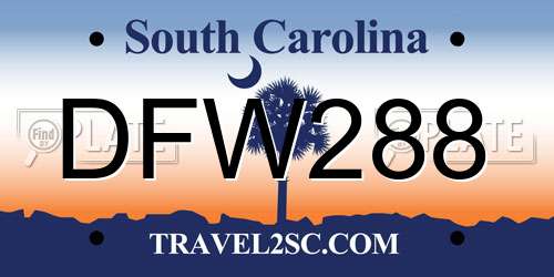 DFW288 South Carolina License Plate