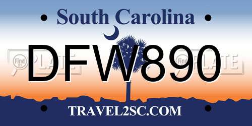 DFW890 South Carolina License Plate