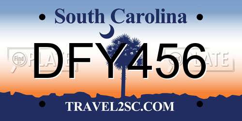 DFY456 South Carolina License Plate