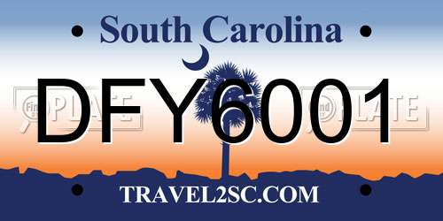 DFY6001 South Carolina License Plate