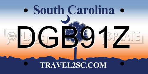 DGB91Z South Carolina License Plate