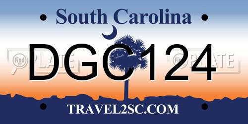 DGC124 South Carolina License Plate