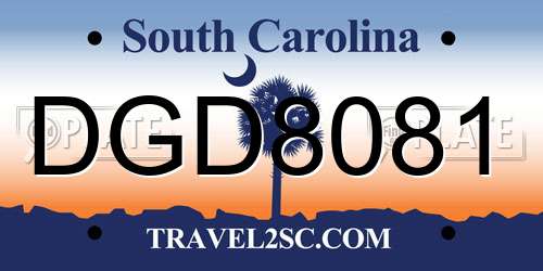 DGD8081 South Carolina License Plate