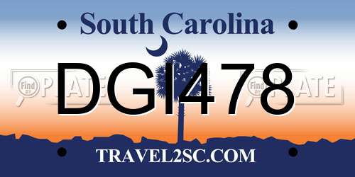 DGI478 South Carolina License Plate