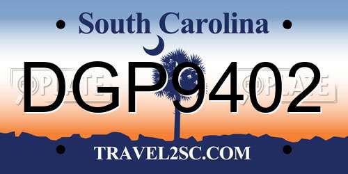 DGP9402 South Carolina License Plate