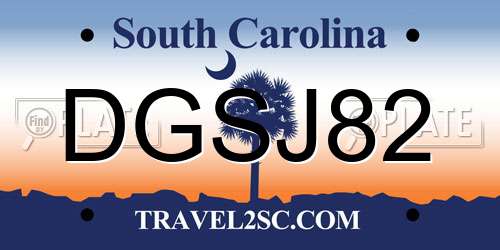 DGSJ82 South Carolina License Plate