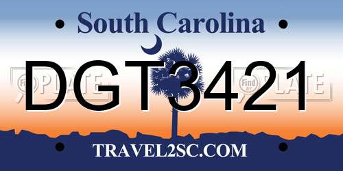 DGT3421 South Carolina License Plate