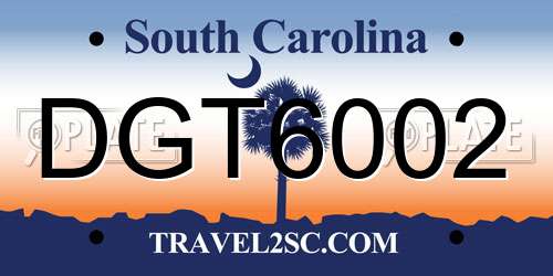DGT6002 South Carolina License Plate