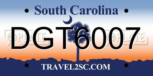DGT6007 South Carolina License Plate