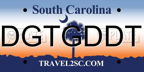 DGTGDDT South Carolina License Plate