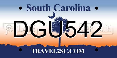 DGU542 South Carolina License Plate