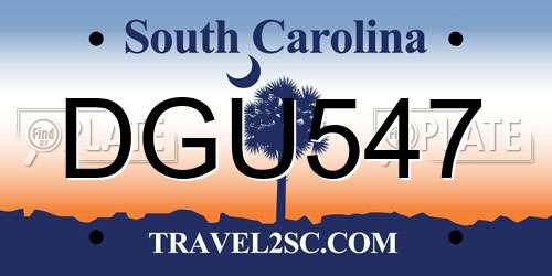 DGU547 South Carolina License Plate