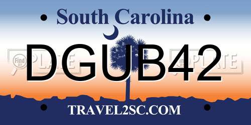 DGUB42 South Carolina License Plate