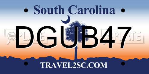DGUB47 South Carolina License Plate
