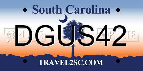 DGUS42 South Carolina License Plate