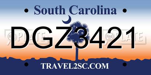 DGZ3421 South Carolina License Plate