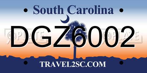DGZ6002 South Carolina License Plate