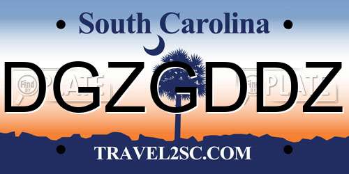 DGZGDDZ South Carolina License Plate