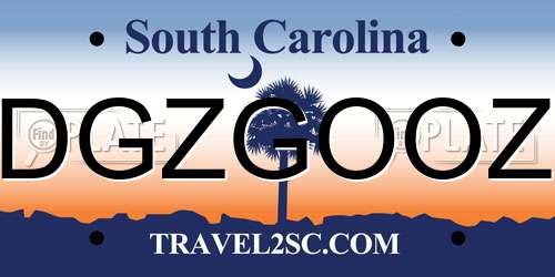 DGZGOOZ South Carolina License Plate