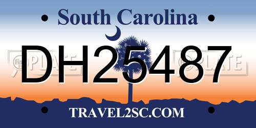 DH25487 South Carolina License Plate