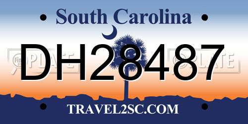 DH28487 South Carolina License Plate