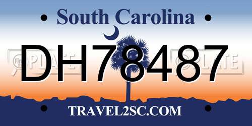 DH78487 South Carolina License Plate