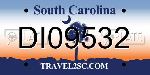 DI09532 South Carolina License Plate