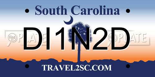 DI1N2D South Carolina License Plate