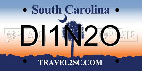 DI1N2O South Carolina License Plate