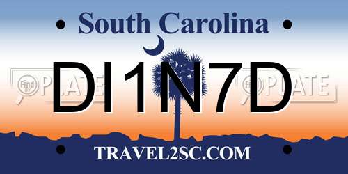 DI1N7D South Carolina License Plate