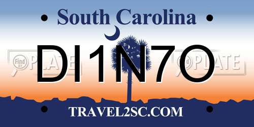 DI1N7O South Carolina License Plate