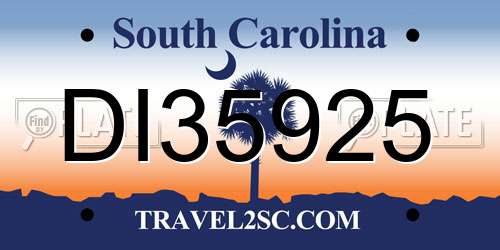 DI35925 South Carolina License Plate
