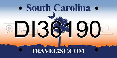 DI36190 South Carolina License Plate